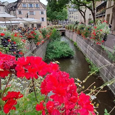 Lägenhet Le St Leon : Lit Queen Size * Wifi * Ideal Couple Colmar
