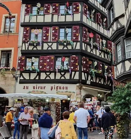 Le St Leon : Lit Queen Size * Wifi * Ideal Couple * 科尔马
