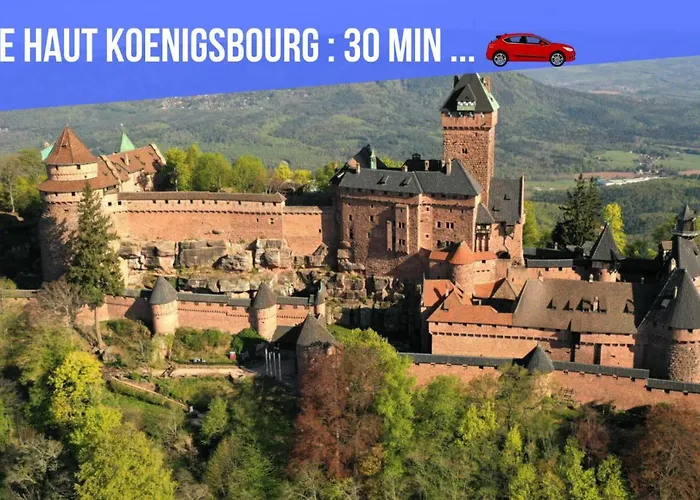 Le St Leon : Lit Queen Size * Wifi * Ideal Couple Apartment *