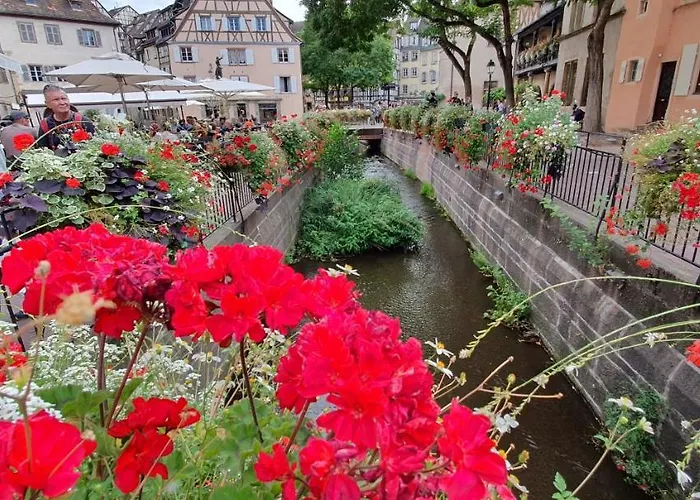 Apartment Le St Leon : Lit Queen Size * Wifi * Ideal Couple Colmar